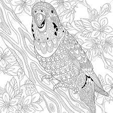 Pin By Edith Bryan On Coloring In 2020 Bird Coloring Pages Animal Coloring Pages Coloring Books