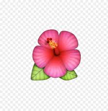 Flower Emoji Transparent Png Image With Transparent Background Toppng