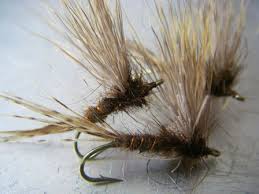 Epingle Sur Peche