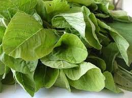 Conjugate leaf in every english verb tense including present, past, and future. Indian Food Recipes Food And Cooking Blog Page 31 Of 44 Indian Food Blog On Home Cooked Meals Both Vegetarian And Amaranth Juice For Skin Fruit Benefits