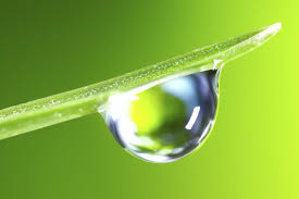 صورة وكلمة صور قطرات ماء