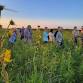 Evening Walks on the Prairie