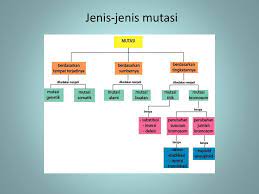 Check spelling or type a new query. Evolusi Dan Genetika Perilaku Ppt Download