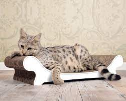 Who should buy a cat scratcher. Cat On Cat Sofa Le Canape Premium Quality Cardboard Cat Scratchers Made In Germany