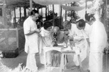 Photo Gallery of Mahatma Gandhi (1933-1948)