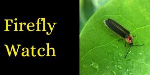 Firefly Watch