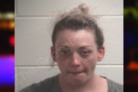 Erica Townsend — Henry County Jail Bookings