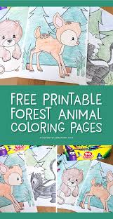 You can find here hard and detailed patterns, advanced animal drawings, simple colorings or easy outlines. Free Printable Woodland Animal Coloring Pages For Kids
