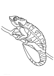 Coloring pages are fun for children of all ages and are a great educational tool that helps children develop fine motor skills creativity and color recognition. Coloring Pages Chameleon Coloring Sheet For Kids