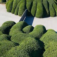Any keen garden photographer will find garden design: Garden Design Review Best Designed Gardens And Parks On The Planet