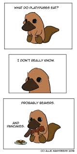 Itsnoisy Funny Animal Memes Cute Funny Animals Funny Cute