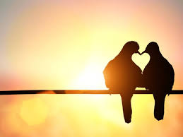 Poesie D Amore Per Lui Brevi Lunghe Anonime E Bellissime Da Dedicare Lifestar It