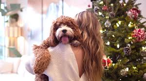 And at some of our more quirky celebrities, or sporting heros for ideas. The Best Dog Names And How To Name Your Puppy