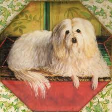Darwin Rice White Maltese Puppy Dog Decoupage Green Gold Octagonal Tray  Plate