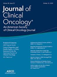 Paket alat tes psikologi mmpi (minnesota multiphasic personality inventory) lengkap. Molecular Classification Of The Portec 3 Trial For High Risk Endometrial Cancer Impact On Prognosis And Benefit From Adjuvant Therapy Journal Of Clinical Oncology
