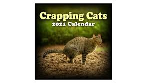 Crapping Cats Calendar 2021 Wall Calendar 12 Pooping Cats Etsy