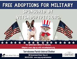 So far, it has forged over 28,000 connections between pets and potential owners who come to pets.overstock.com from a tab on the main page. Animal Shelter