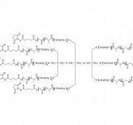 4-arm Poly(lactic Acid) Succinimidyl Carbonate Manufacturer ...