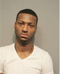 ᐅ Illinois Criminal Records 2009-2025