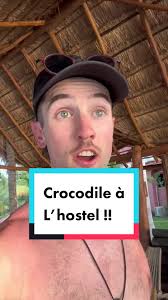 Selina Jackerman Videos with The Crocodile