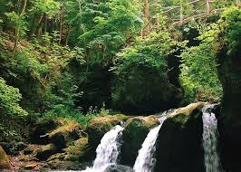 Das mullerthal (oder müllerthal) ist bestandteil eines gebiets, in dem der luxemburger sandstein entstand. Mullerthal 2021 Best Of Mullerthal Luxembourg Tourism Tripadvisor