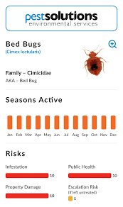 Image result for bed bugs