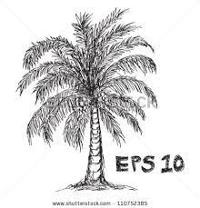 Coconut Tree Drawing Stock Vector 110752385 Shutterstock Tree Drawing Coconut Tree Drawing Drawings
