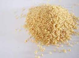 Millet Bird Seed Wild Bird Food Millet Bird Food