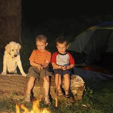 We did not find results for: With A Portable Wireless Fence You Can Camp With Your Dog Petsafe