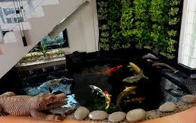 Berikut adalah kumpulan desain kolam ikan minimalis terbaru, yang cocok untuk hiasan di halaman depan rumah, samping, atau halaman belakang rumah. 10 Ide Desain Kolam Ikan Minimalis Di Rumah Bukareview