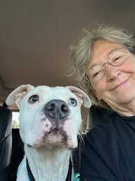 🐾We love this!🐾 This is one of the reasons we do what we do! Thank you  All 4s Rescue League for helping our furry four-legged friends!