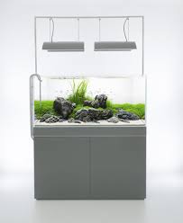 Aquarium Design Group Aquarium Design Aquarium Aquascape Design