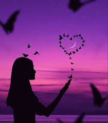 Wallpaper Resimler Resim Mor