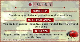 What Does A Ladybug Symbolize A Ladybug Or Ladybird Is Believed To Be An Embodiment Of Lady Ladybug Meaning Spirit Animal Meaning Animal Totem Spirit Guides