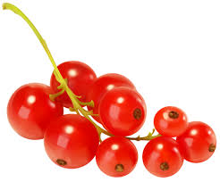 Red Currants Png Clipart The Best Png Clipart Red Currant Currants Clip Art