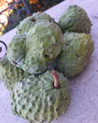 Image result for Annonaceae