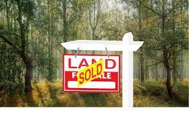 How to Sell Land By Owner in Mississippi