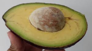 Awak balik kampung makan buah avokado. Kandungan Nutrisi Dan Manfaat Buah Alpukat Alam Tani