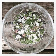 Check spelling or type a new query. Flower Magic Making Your Own Flower Essences Natalie Rousseau Living Yoga