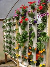 Vertical Gardening In Pvc Pipes Footprint Is Only About 8 By 4 Good For Community Garden Maybe Vertical Garden Design Vertical Garden Vertical Garden Diy