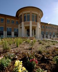 If done right, it may also produce another round of flowers in. Round Rock Texas Familypedia Fandom