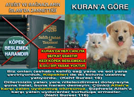Kuran I Kerim E Gore Kedi Kopek Beslemek Yasak Degildir Bagnazlar Bunu Kendileri Uydurmaktadirlar Ayrica Peygamberimiz Hz Muhammed In Kedi Animals Dogs