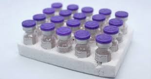 Image result for Provera