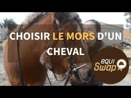 Epingle Sur Soins Des Chevaux