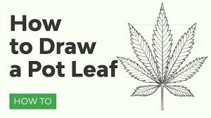 Collection of weed plant drawing (23). How To Draw A Pot Leaf Youtube