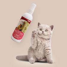 Why do cats scratch furniture? Cat Scratch Deterrent Spray Natural No Stimulation To Effectively Stop Cats From Scratching Furniture 175ml Cat Products For Pet Cat Educational Repellents Aliexpress
