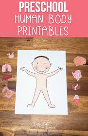 This body parts worksheet is relevant for nursery/lkg/ukg. Preschool Human Body Printables