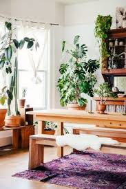 The right plant can help purify your air, increase morale and productivity, or even step in when first aid is needed. 100 Dining Room Plants Ideas House Design Interior Plants