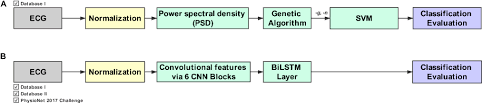 In neural networks, convolutional neural network (convnets or cnns) is one of the main categories to do images recognition, images classifications. Frontiers Deep Learning Algorithm Classifies Heartbeat Events Based On Electrocardiogram Signals Physiology