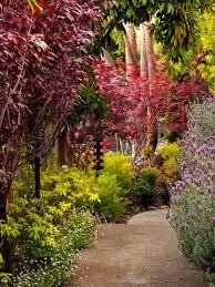 Learn the dos and don'ts of asian landscape design from an experienced professional. Asian Inspired Landscape Design Diy